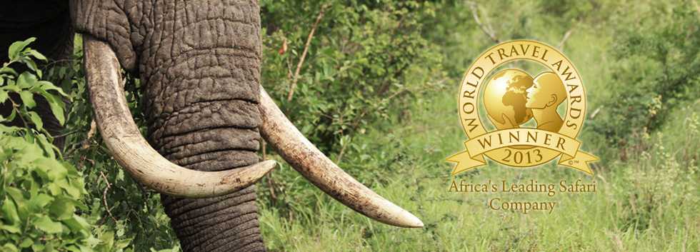 Rhino Africa Safaris wird als „Afrikas führendes Safari Unternehmen" ausgezeichnet - World Travel Awards 2013