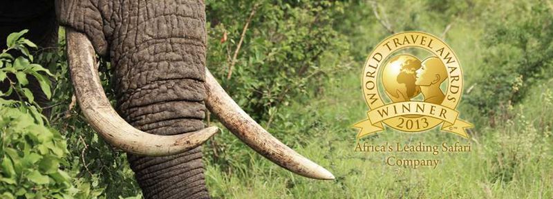 Africa's Leading Safari Company