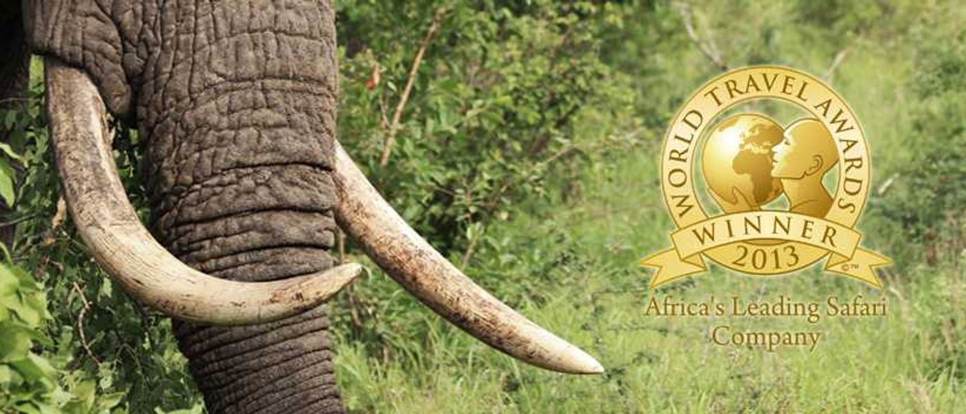 Rhino Africa Safaris wird als „Afrikas führendes Safari Unternehmen" ausgezeichnet - World Travel Awards 2013