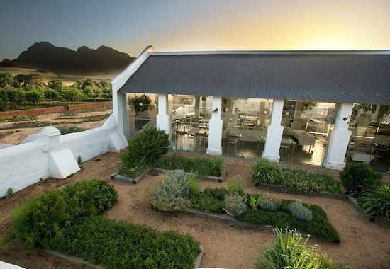 Organic Bliss at Babylonstoren