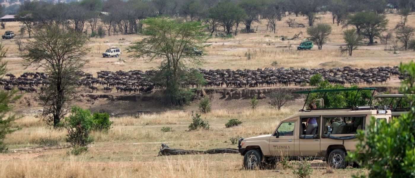 A Great Migration Safari & the Search for a Mara River Crossing | Part 1