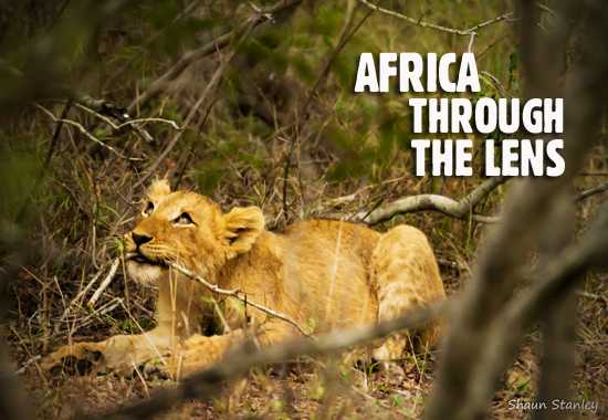 A Photo Safari with Shaun Stanley