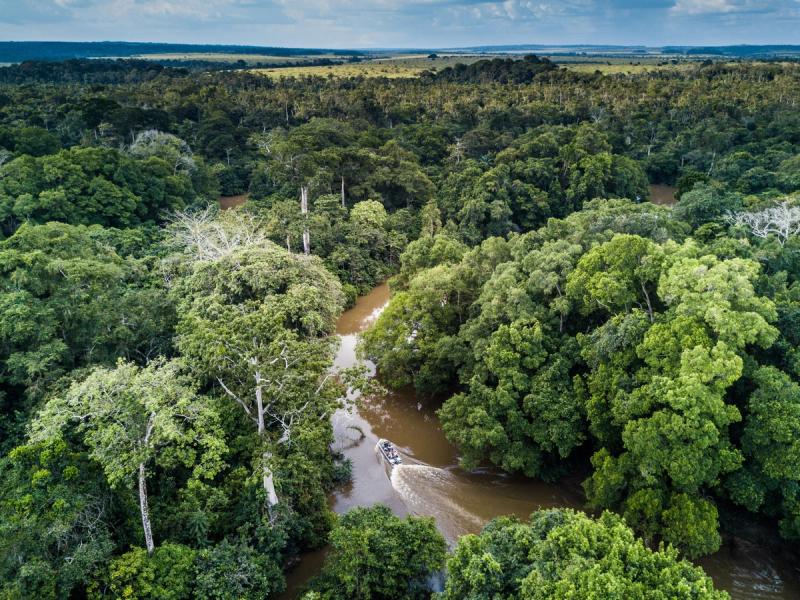 An aerial view shows a small boat travelling along a winding river through dense rainforest, capturing remote destinations for responsible travel.
