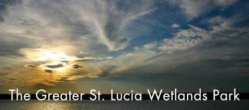 Escape the winter in the Greater St. Lucia Wetlands Park