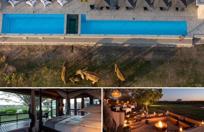 An aerial view shows elephants walking below a long pool deck, alongside images of an elegant safari suite and lantern-lit dining terrace overlooking open plains, embodying the indulgent setting of lodges with the best waterholes.