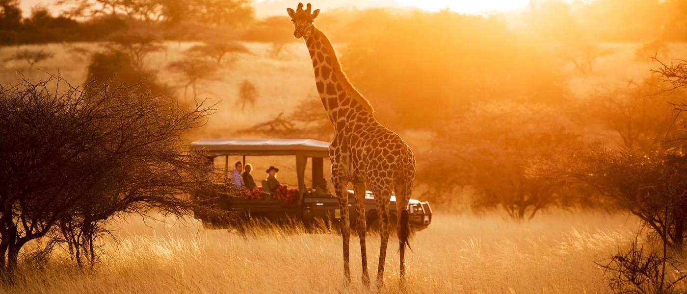Unpacking The African Travel Experience