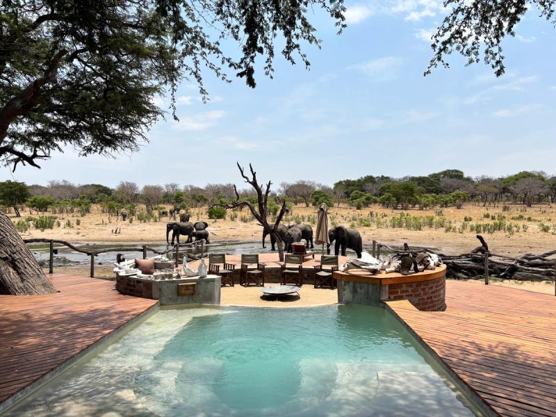 Elephant herd at Somalisa Camp