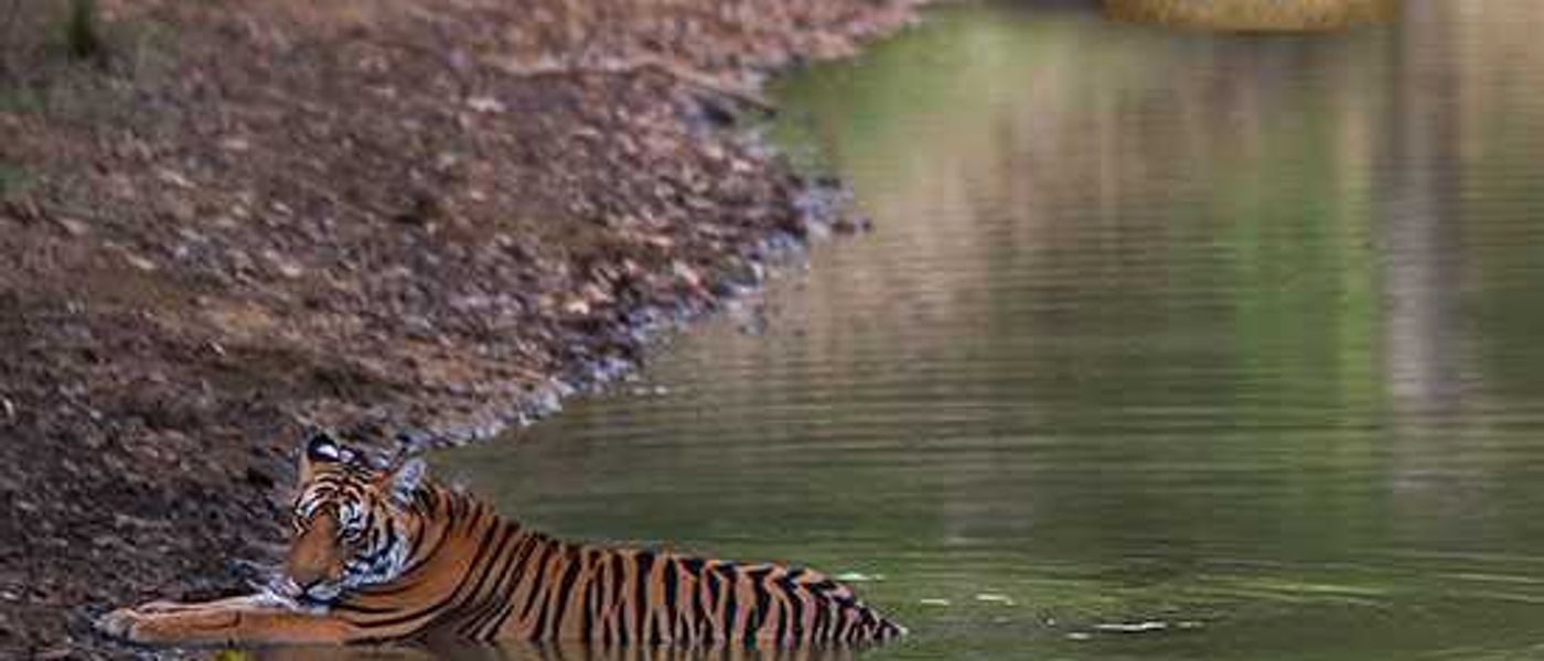 Your Next Great Adventure | Rhino Asia