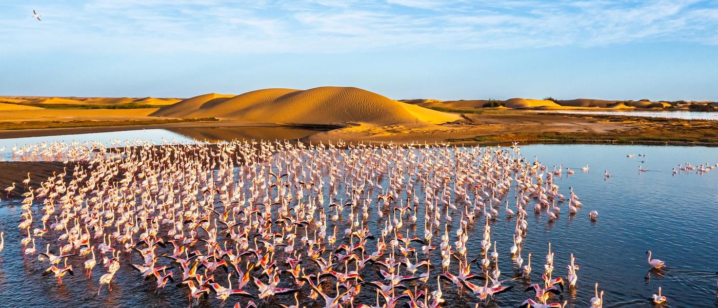 Namibia vereinfacht die Einreise: So beantragen Sie Ihr Online-Visum (Visa on Arrival)