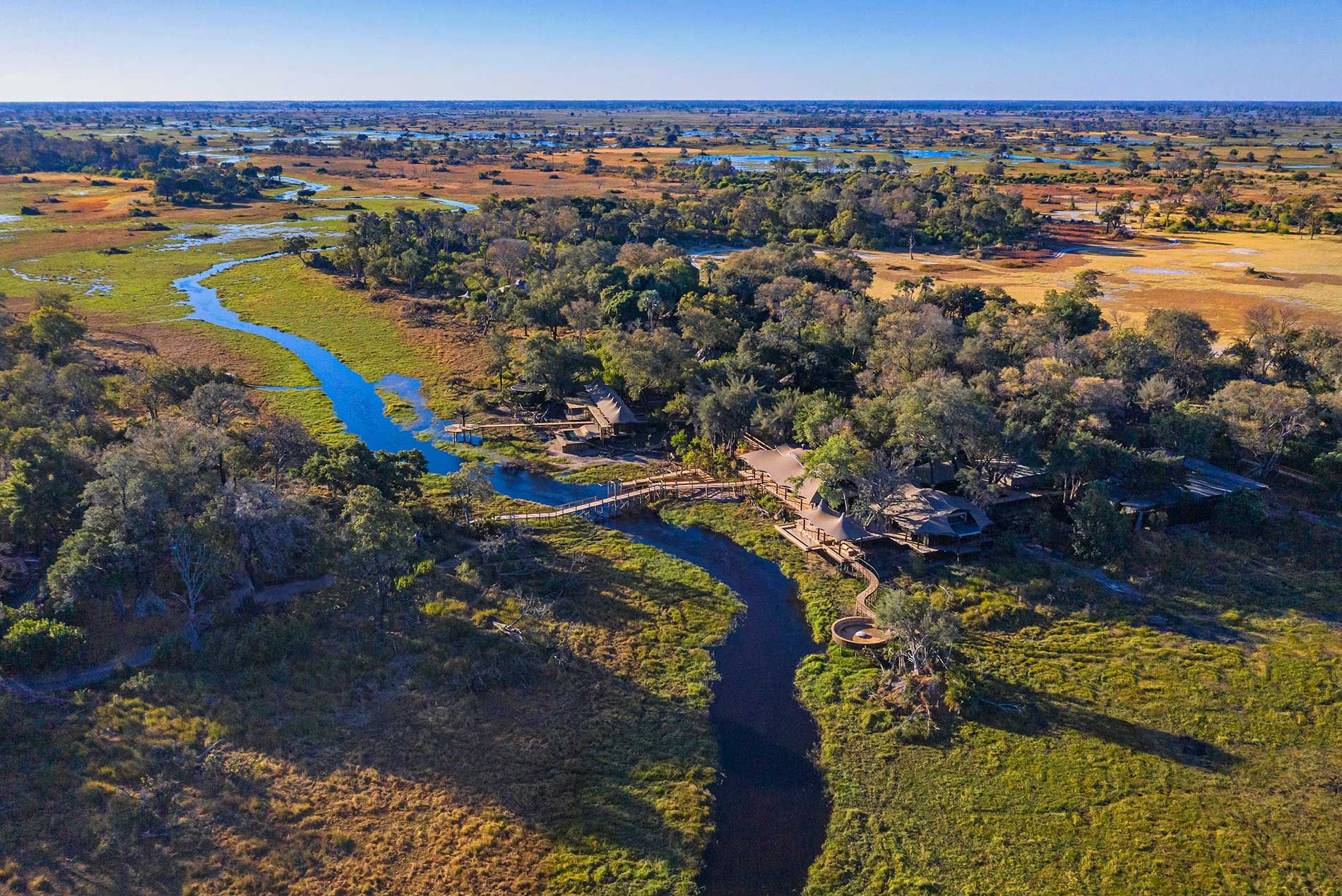 Our Travel Experts’ Bountiful Botswana Safari Stories