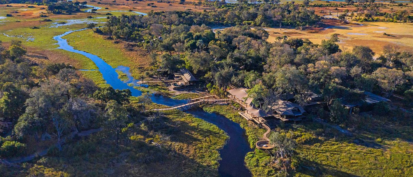 Our Travel Experts’ Bountiful Botswana Safari Stories