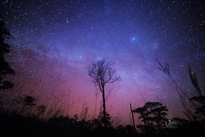 The starry sky in Africa