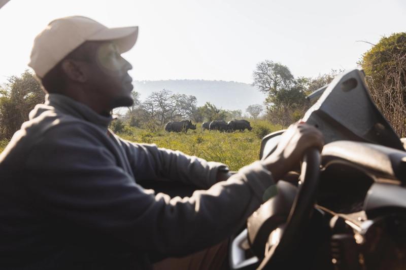 A ranger on a game drive in Rwanda safari spots a crash of rhino