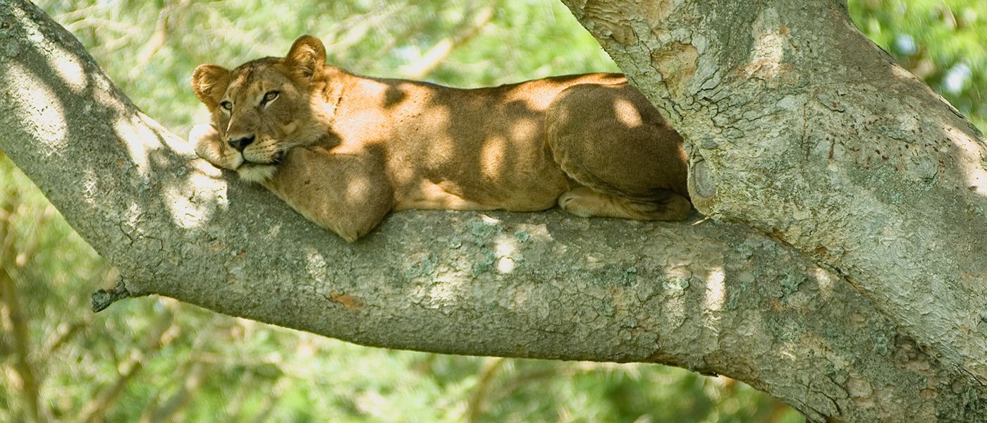 10 Bizarre Natural Phenomena in Africa That Will Blow Your Mind