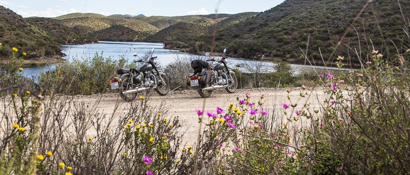 GARDEN ROUTE | Étape #2 : Road-trip sur la Route 62