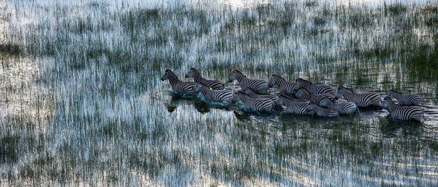 An Inside Look at this Year's Top Destination: Botswana