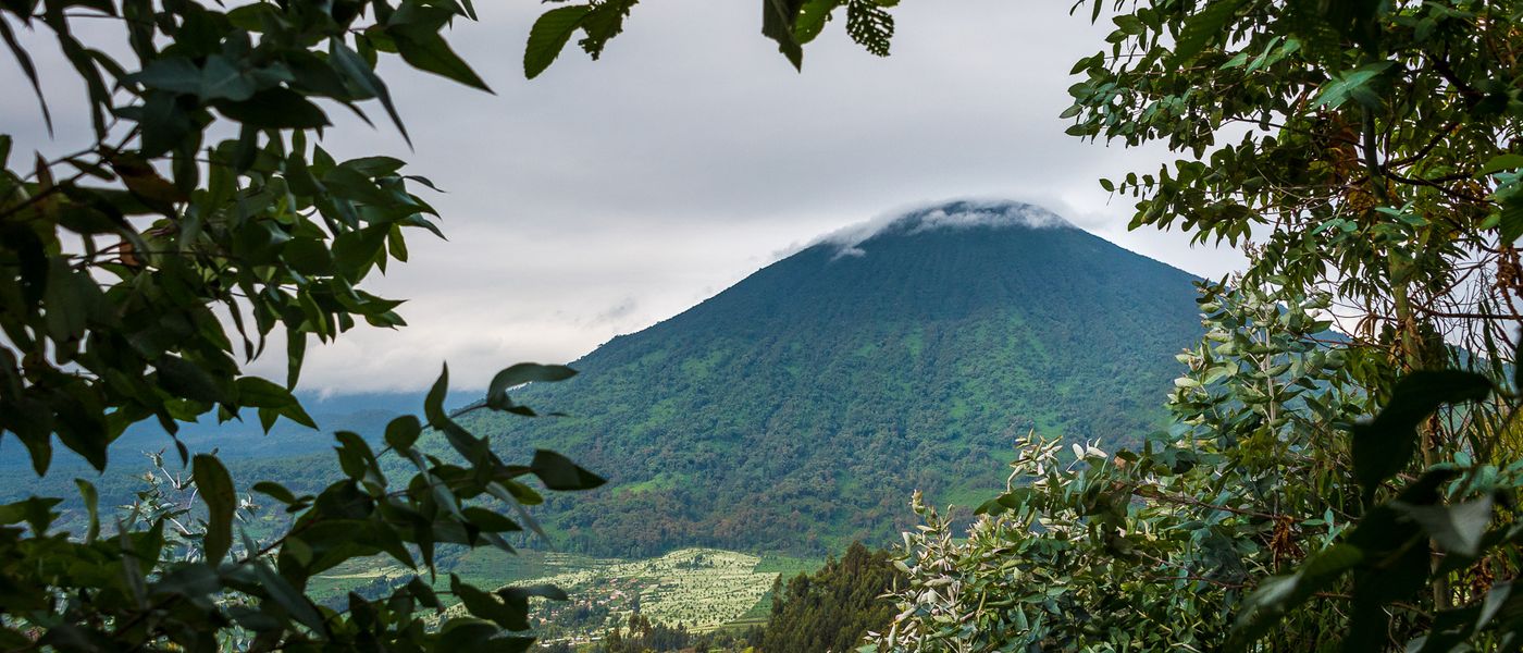 Travel Expert Allison's Trekking Tales in Volcanoes National Park
