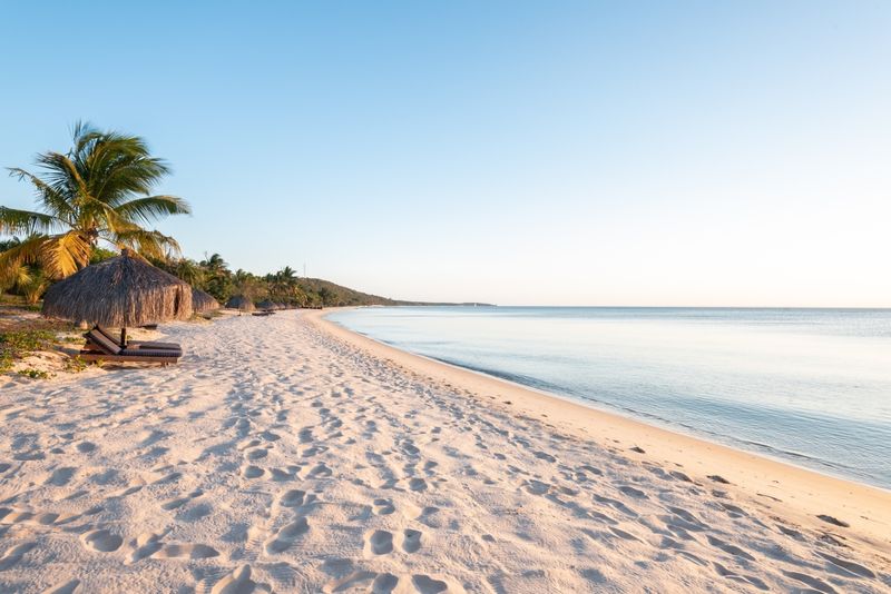 A pristine sandy beach with clear blue water, scattered palm trees, and thatched parasols shading sun loungers under a bright, cloudless sky.