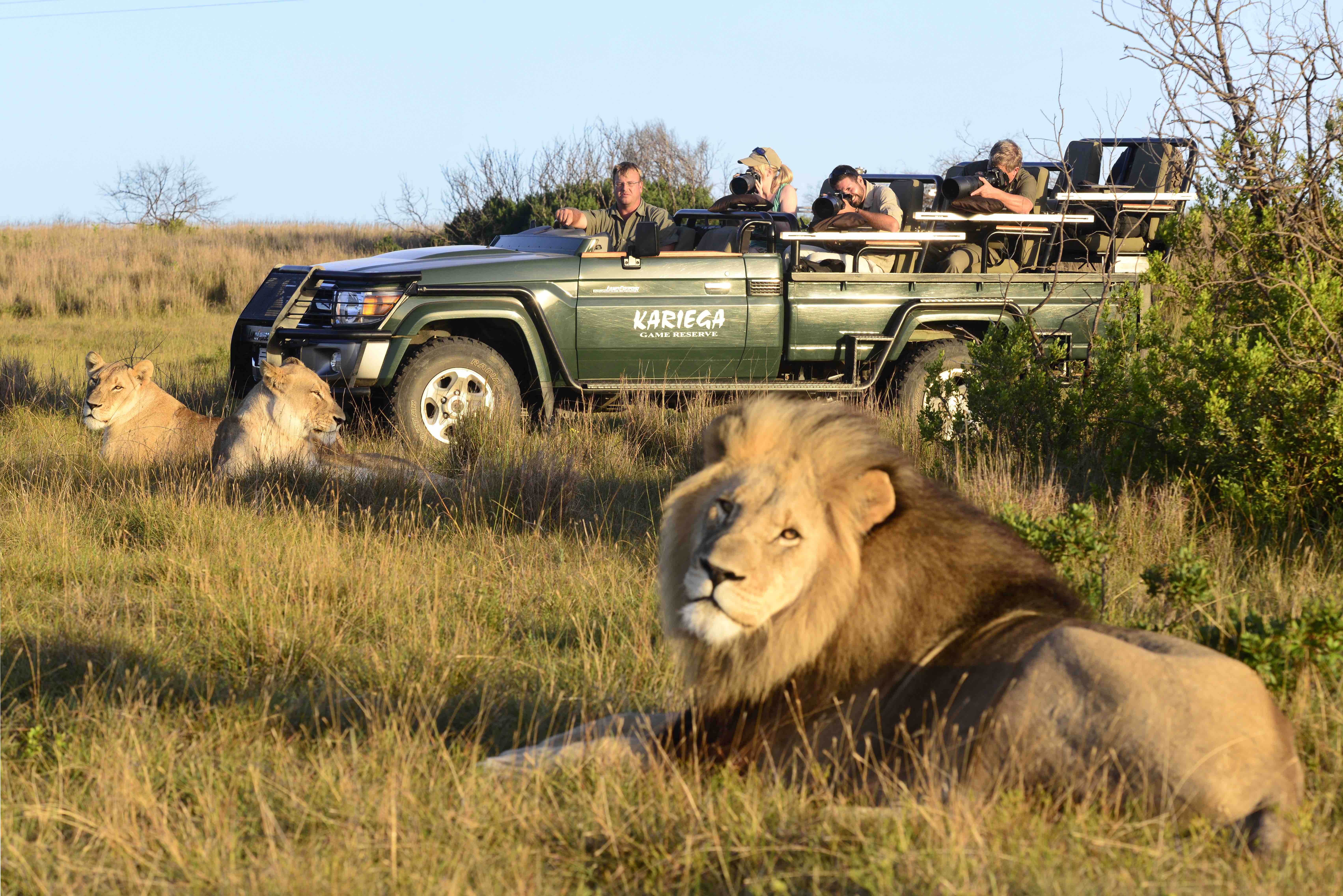 GARDEN ROUTE | Étape #4 : Un safari sur la Garden Route
