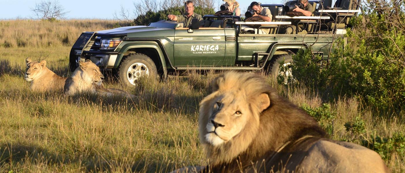 GARDEN ROUTE | Étape #4 : Un safari sur la Garden Route