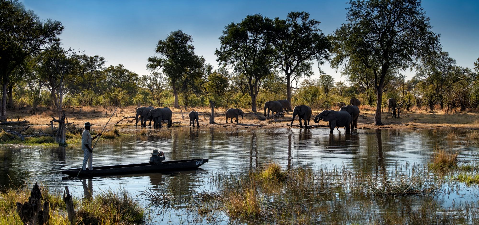 A Guide to a Khwai Safari