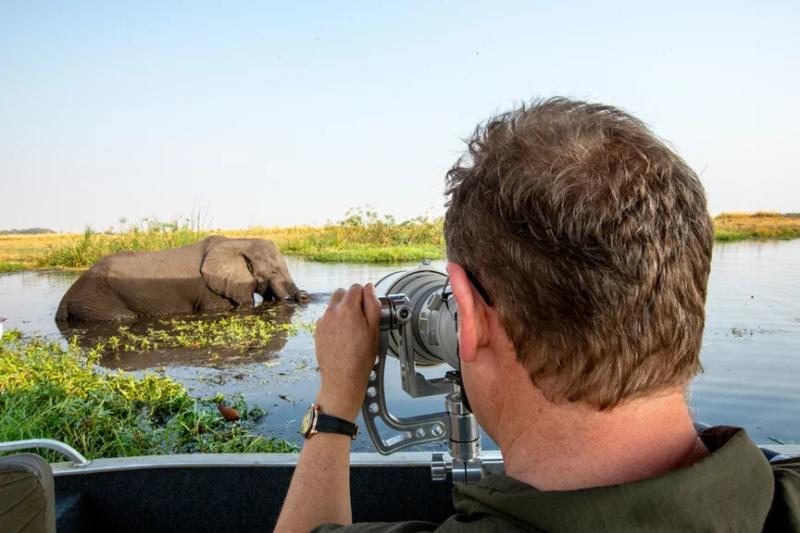 Get the perfect wildlife photography safari shot with Pangolin Photo Safaris