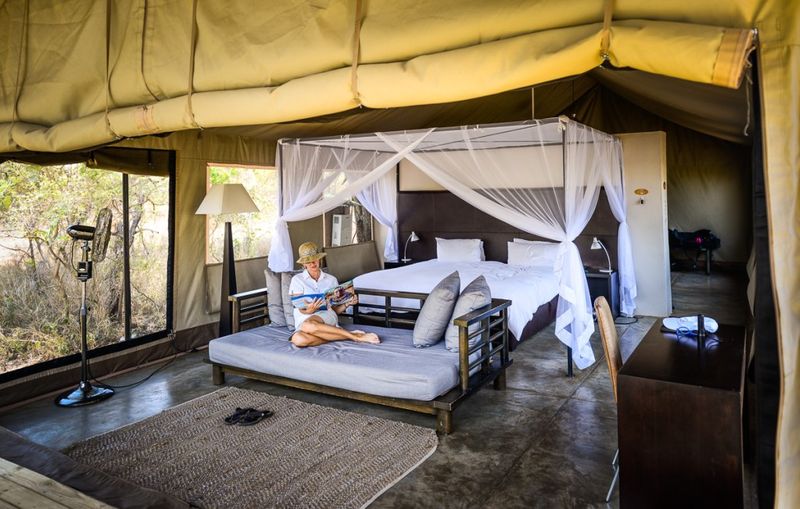 Vue de l'intérieur d'une tente au Honeyguide Khoya Moya Camp