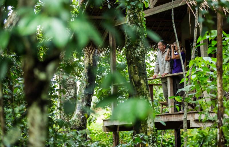 Two guests stand quietly on a raised rainforest platform observing wildlife through binoculars, embodying low-impact destinations for responsible travel.