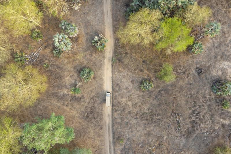 An aerial view shows a lone safari vehicle driving along a narrow dirt road through sparse woodland, illustrating the impact in Gorongosa across a landscape shaped by loss and recovery