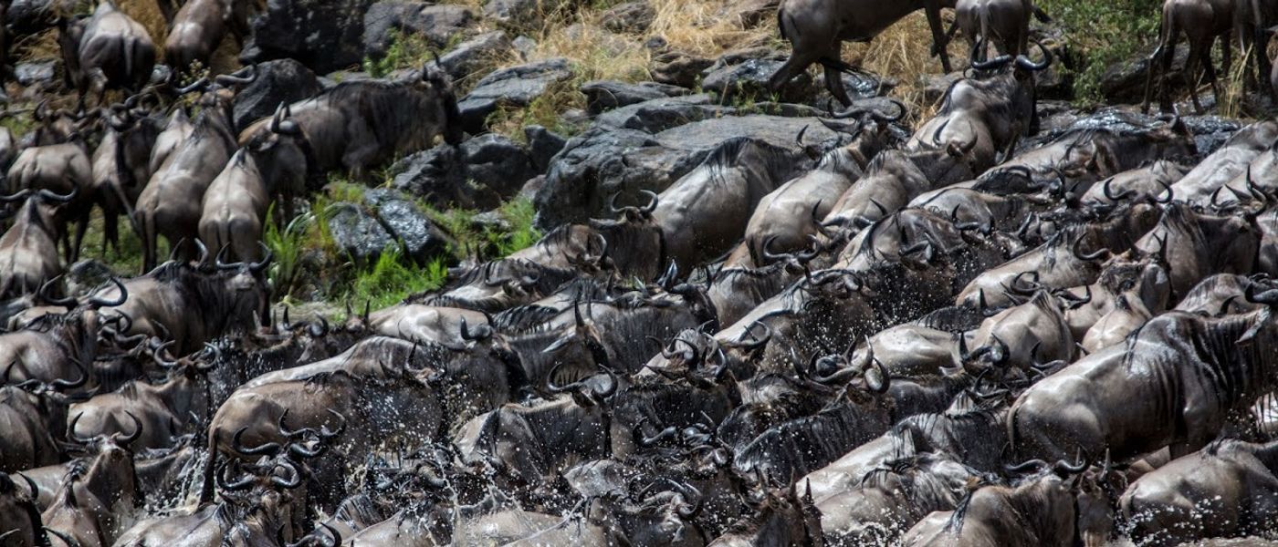 A Great Migration Safari & the Search for a Mara River Crossing | Part 3
