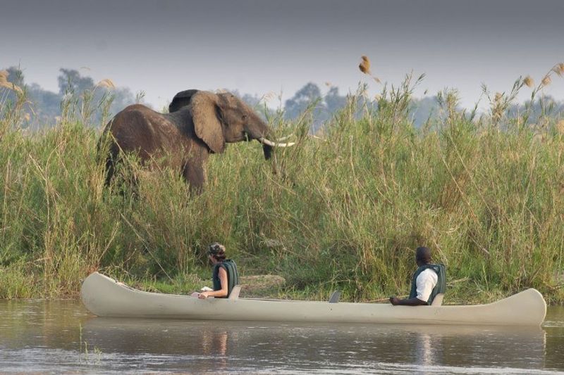 Tiere vom Kanu aus beobachten - Eine der besten Aktivitäten in Sambia 