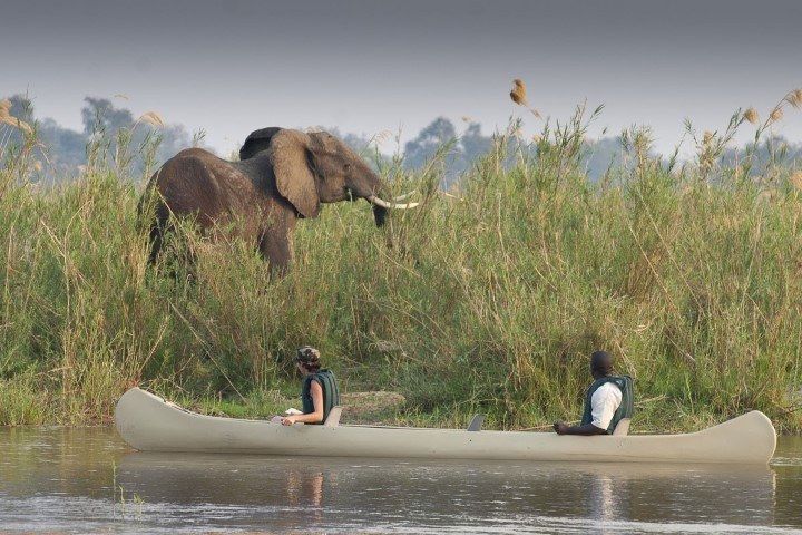Tiere vom Kanu aus beobachten - Eine der besten Aktivitäten in Sambia