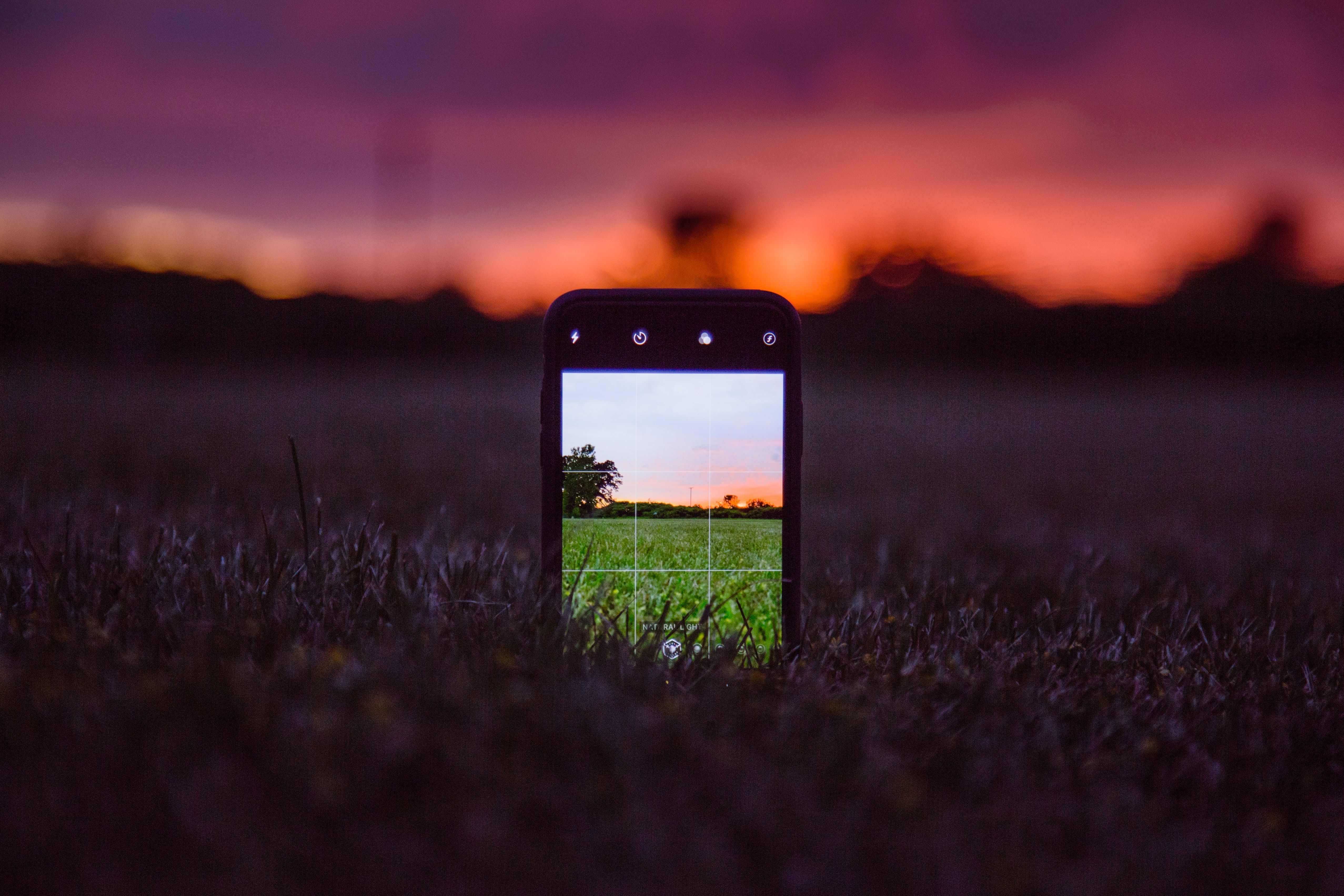12 Tips and Tricks for Phone Photography