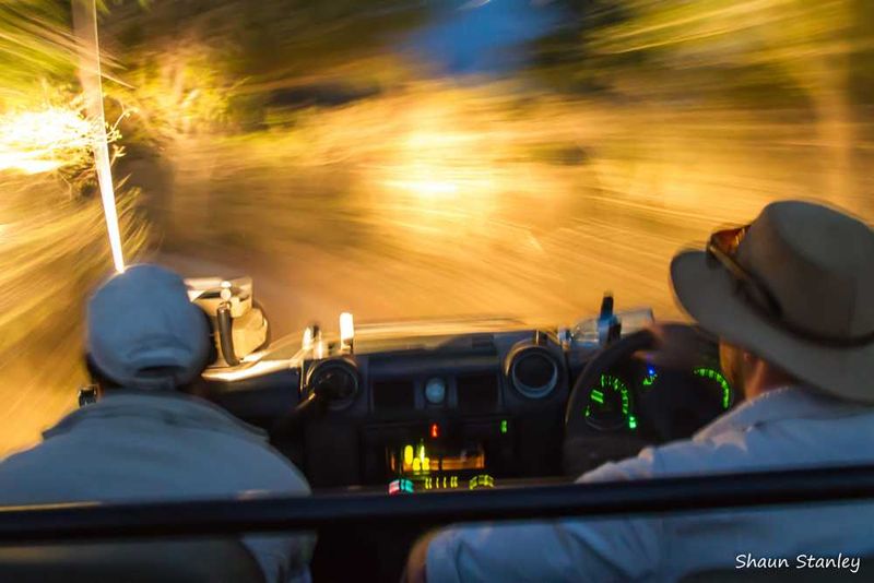 Night drive at Londolozi Game Reserve