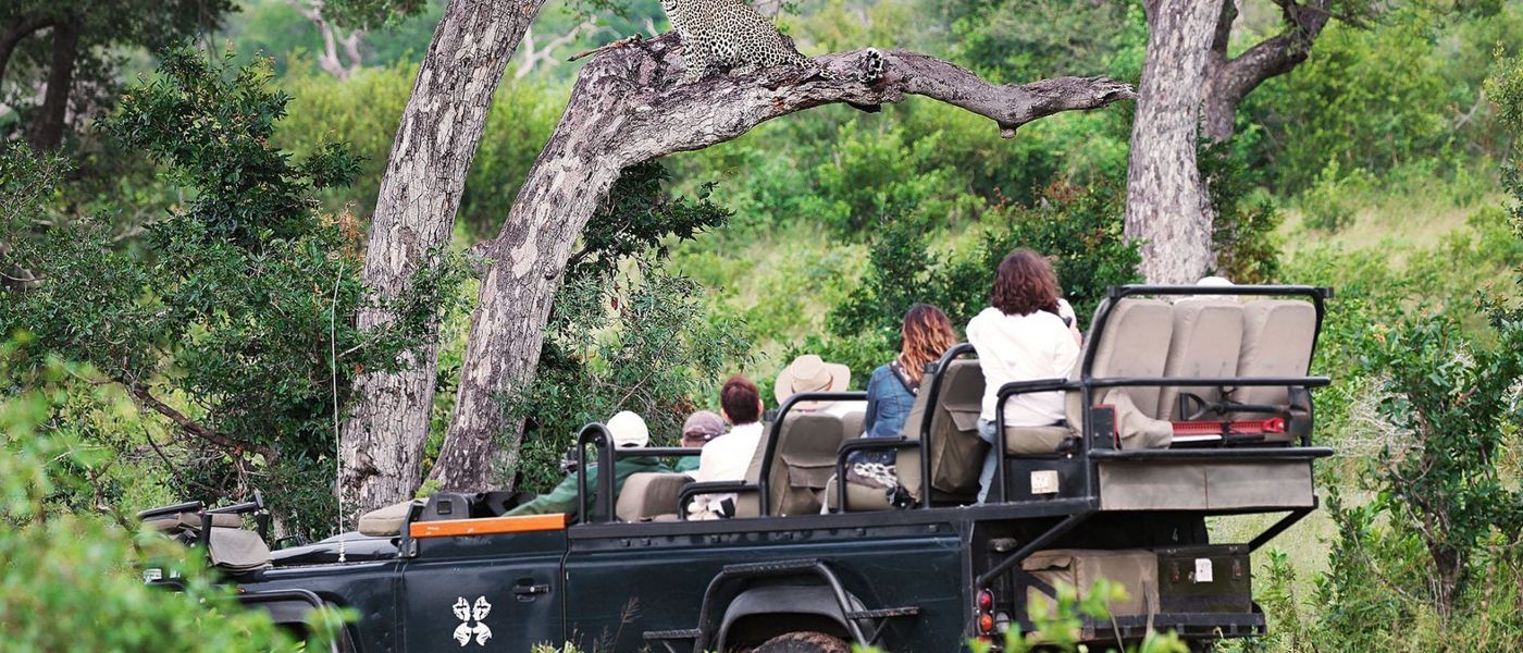 11 Fun Facts about Rhinos