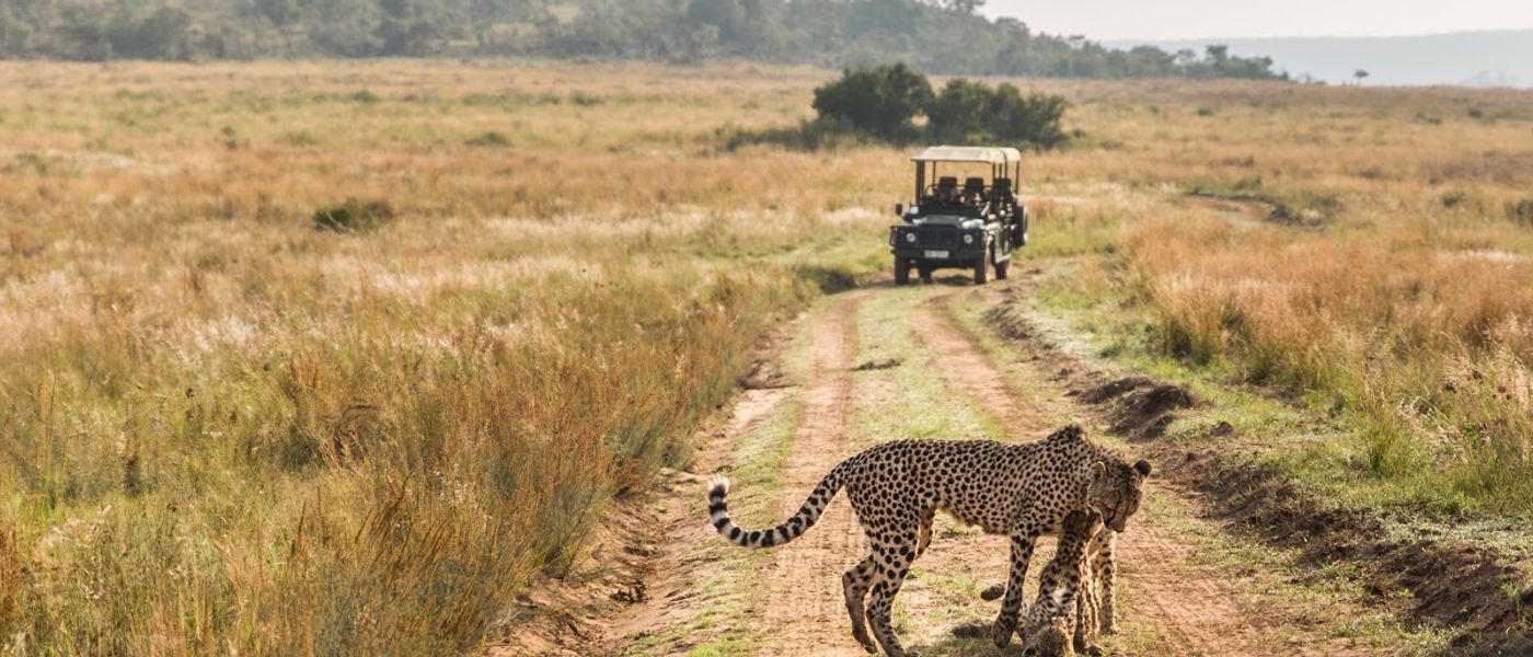 Por que a Reserva Welgevonden deveria ser seu próximo destino de safári