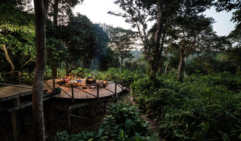 A raised wooden deck set for dinner sits deep in the rainforest canopy, offering an intimate pause in the search for where to go in 2026.