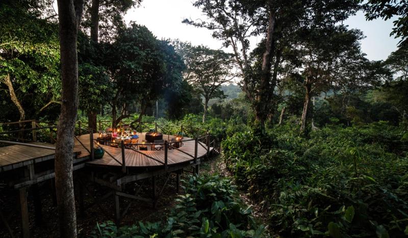 A raised wooden deck set for dinner sits deep in the rainforest canopy, offering an intimate pause in the search for where to go in 2026.