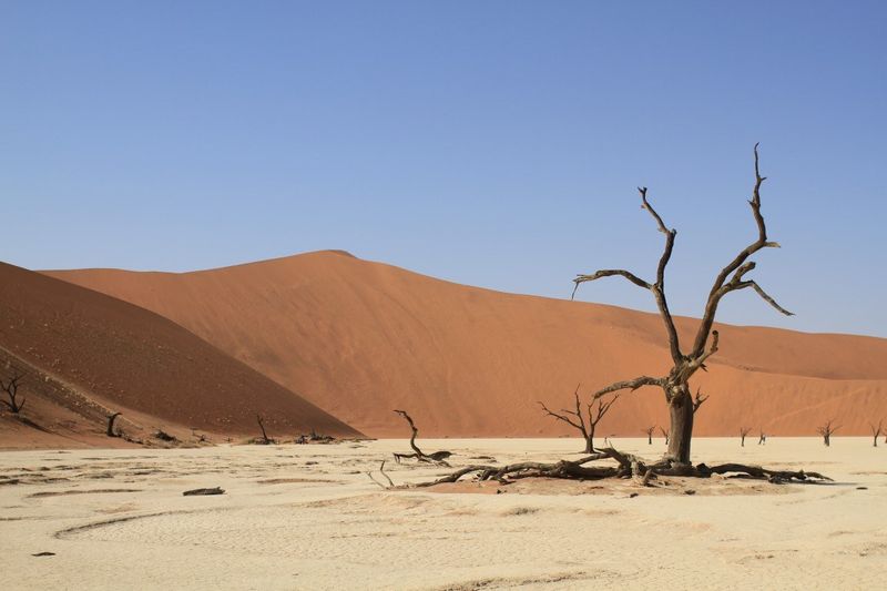 Das Deadvlei in Namibia