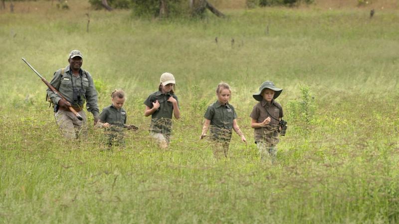 A safari guide leads a group of young children dressed in khaki through tall green grass.