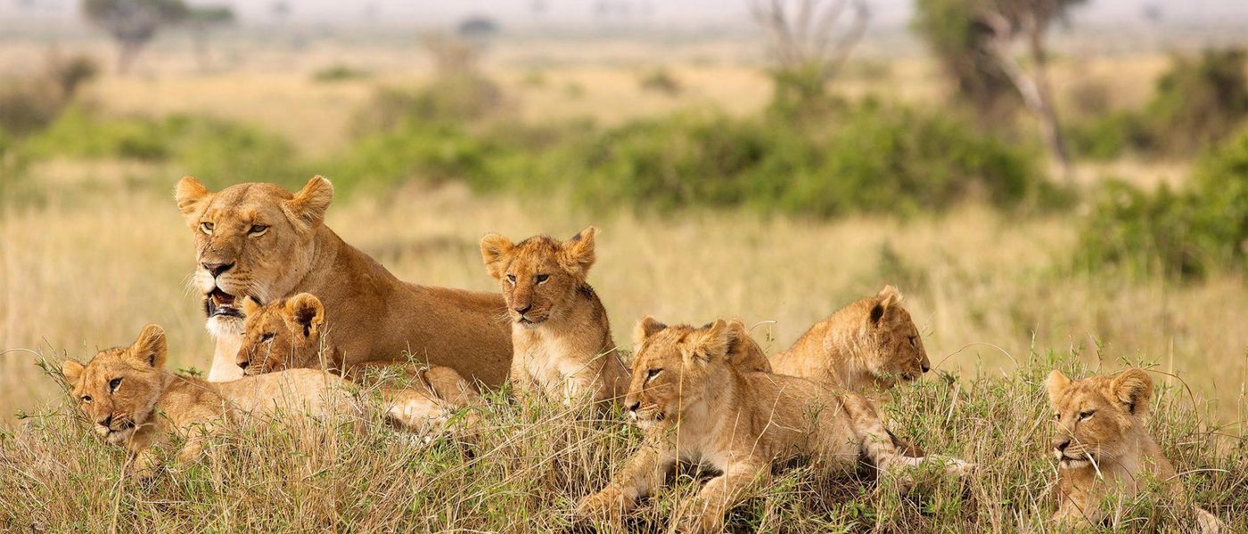 Our Top Destinations For African Travel in December