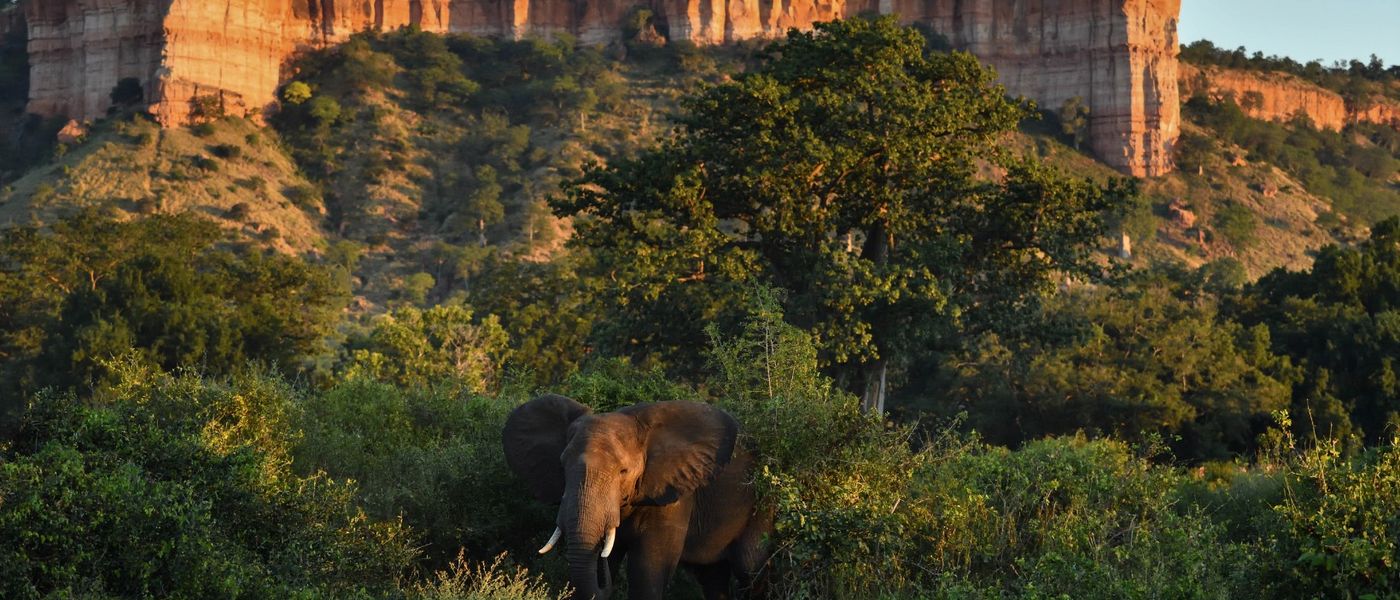 Feel Like an Explorer in Gonarezhou National Park