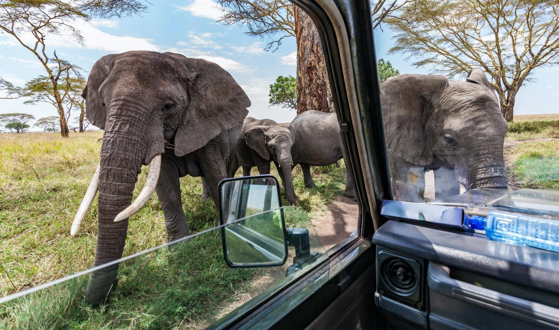 Where Are the Best Places in Africa to Travel to Right Now?