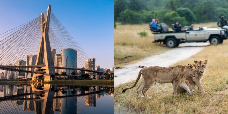 São Paulo’s iconic bridge meets lions on safari, made possible by international flight routes to Africa.