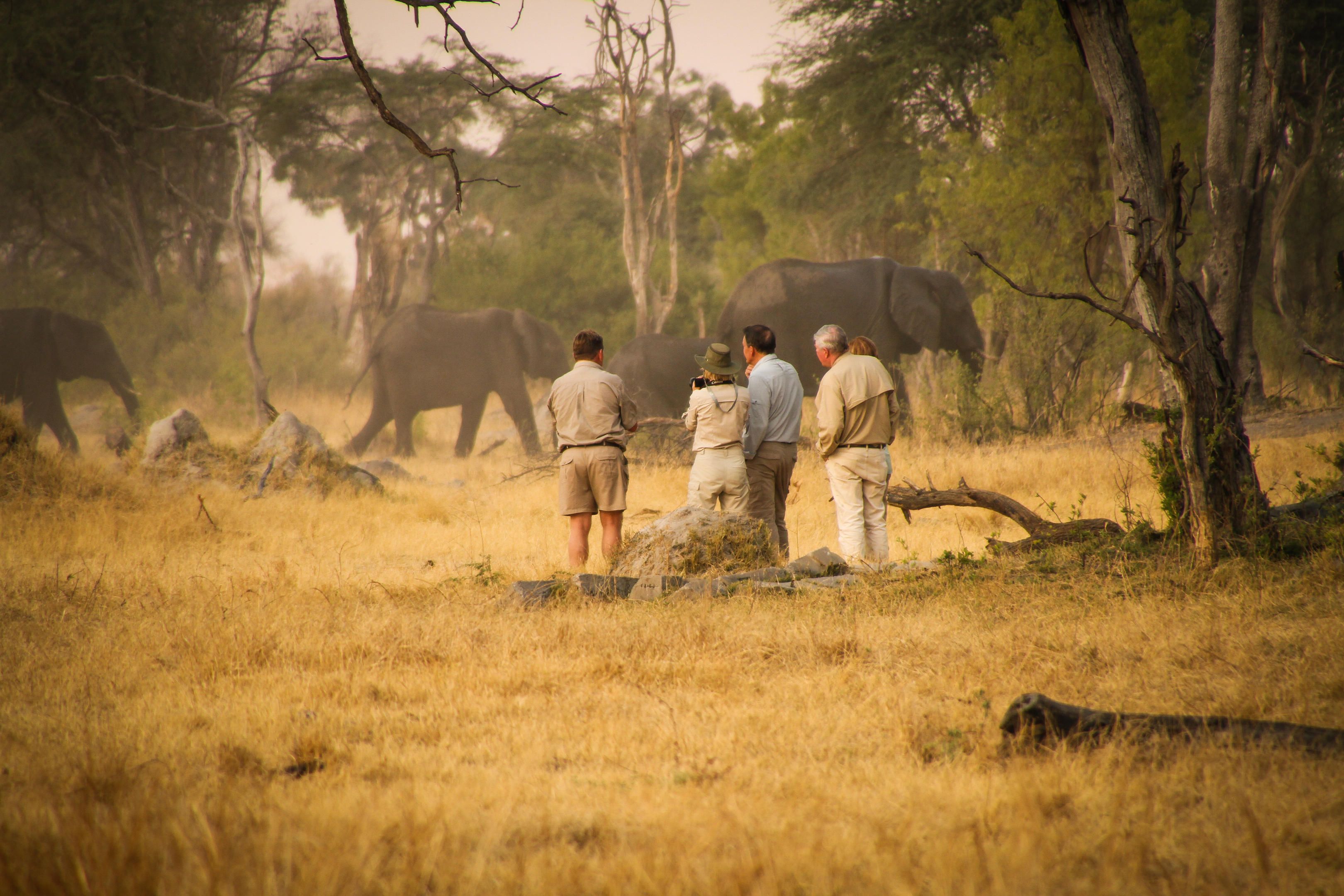 Zimbabwe’s Top National Parks