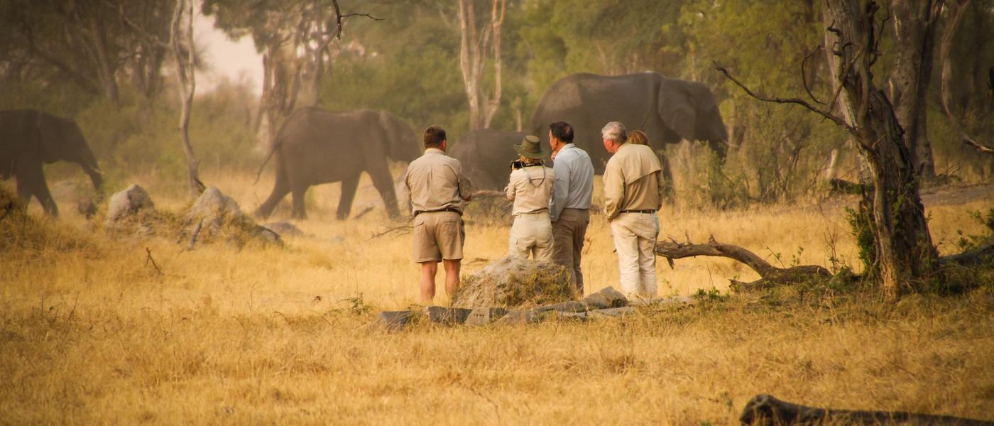 Zimbabwe’s Top National Parks