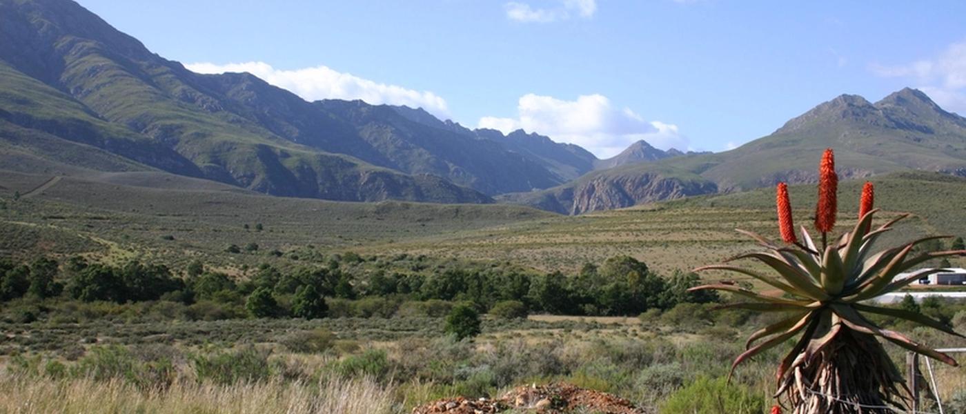 Am Weg zur Garden Route - Route 62