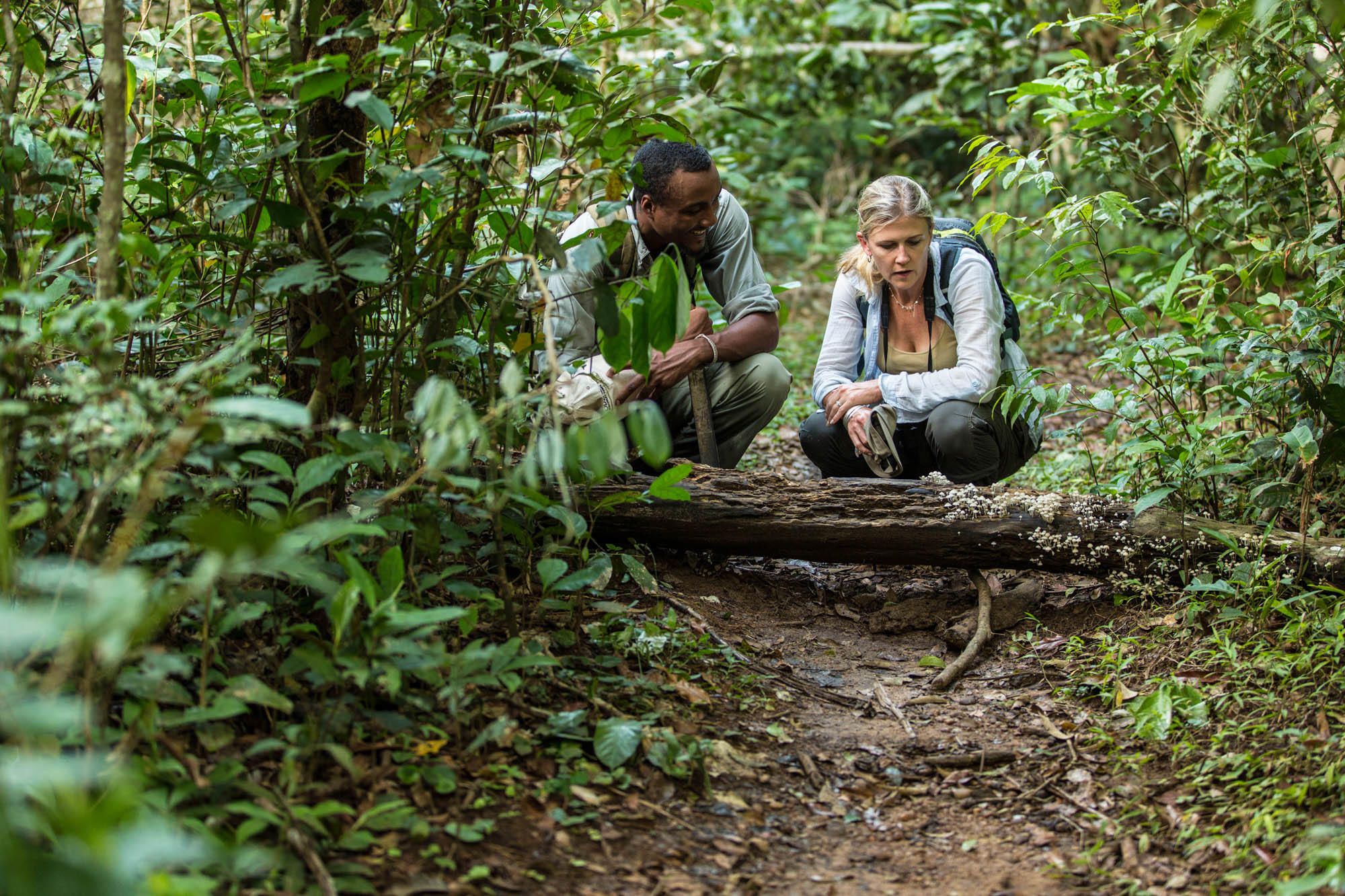 Africa’s Emerging Destinations for Responsible Travel