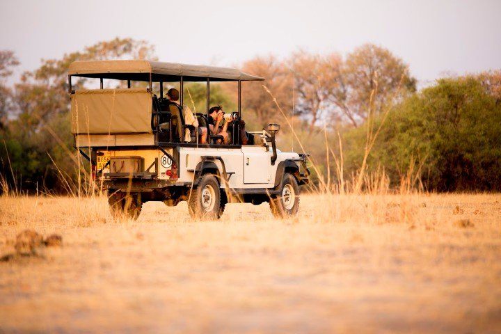Die besten Safari-Reisen in Afrika