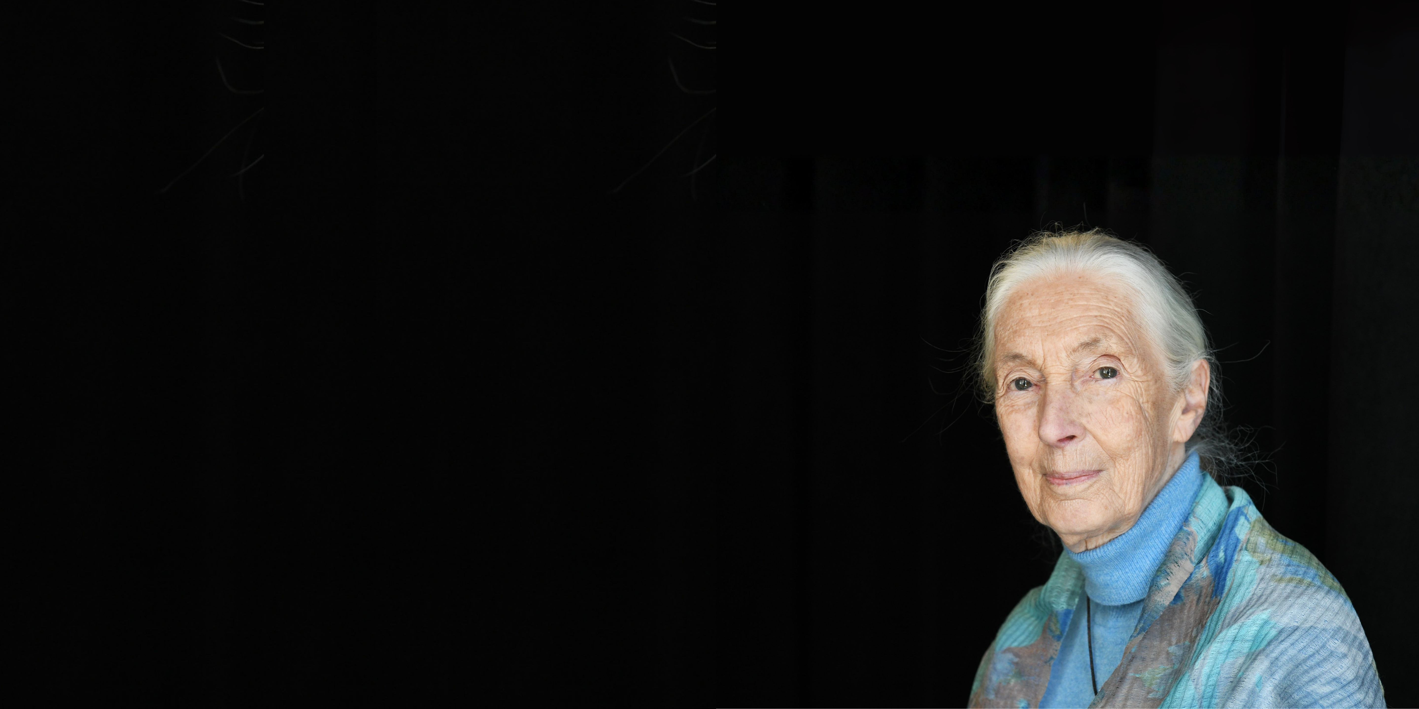 Our Tribute to a Legend: The Legacy of Dr Jane Goodall